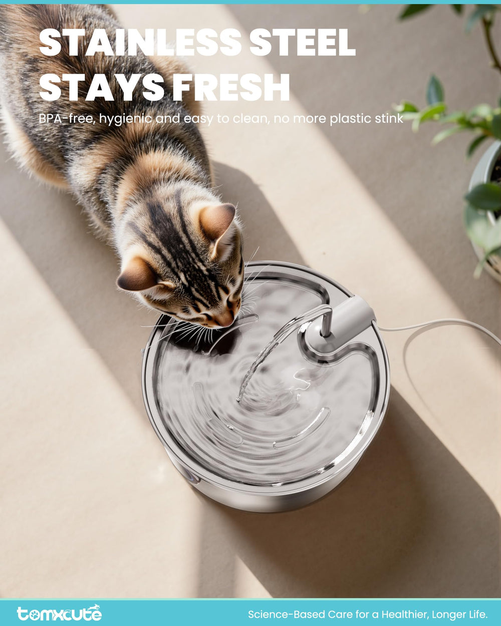 Tomxcute cat water fountain stainless steel with quiet pump provides near-silent drinking.