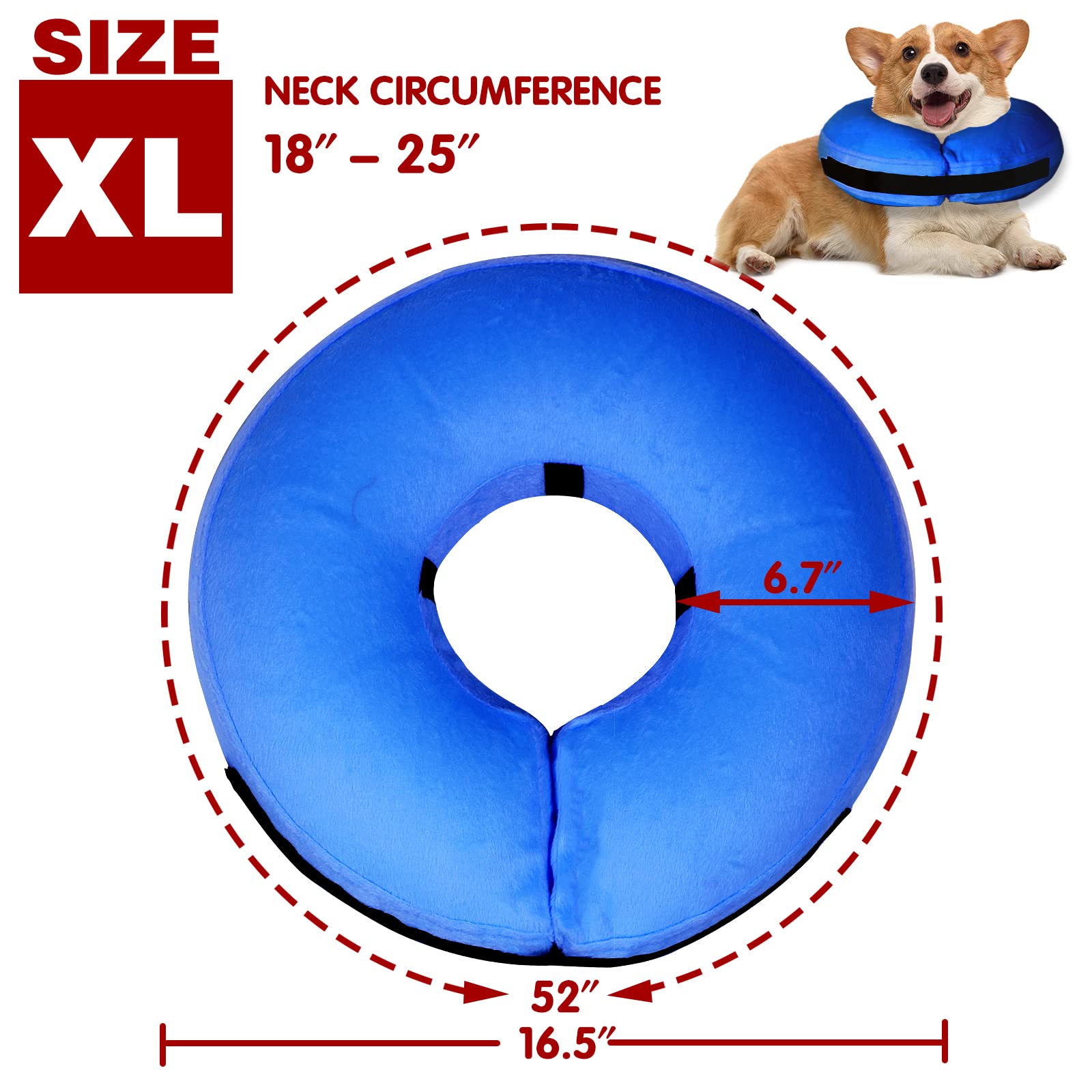 Tonqixope donut collar with soft inner padding supports gentle restraint for wound protection.