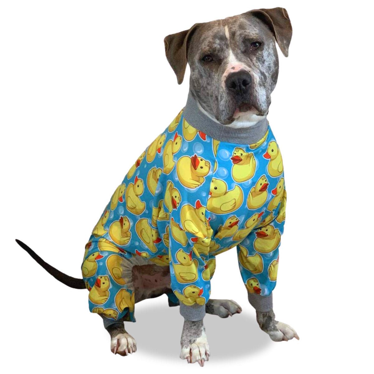 Tooth & Honey pit bull pajamas with rubber duck print offer full-coverage coziness for relaxing nights.