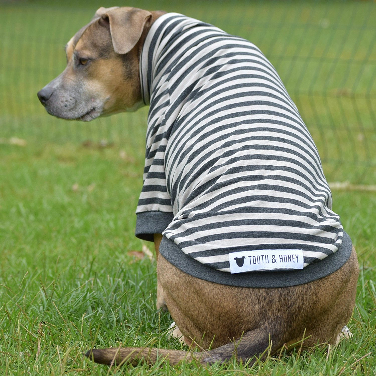 Tooth & Honey breathable fabric highlights lightweight summer wear.