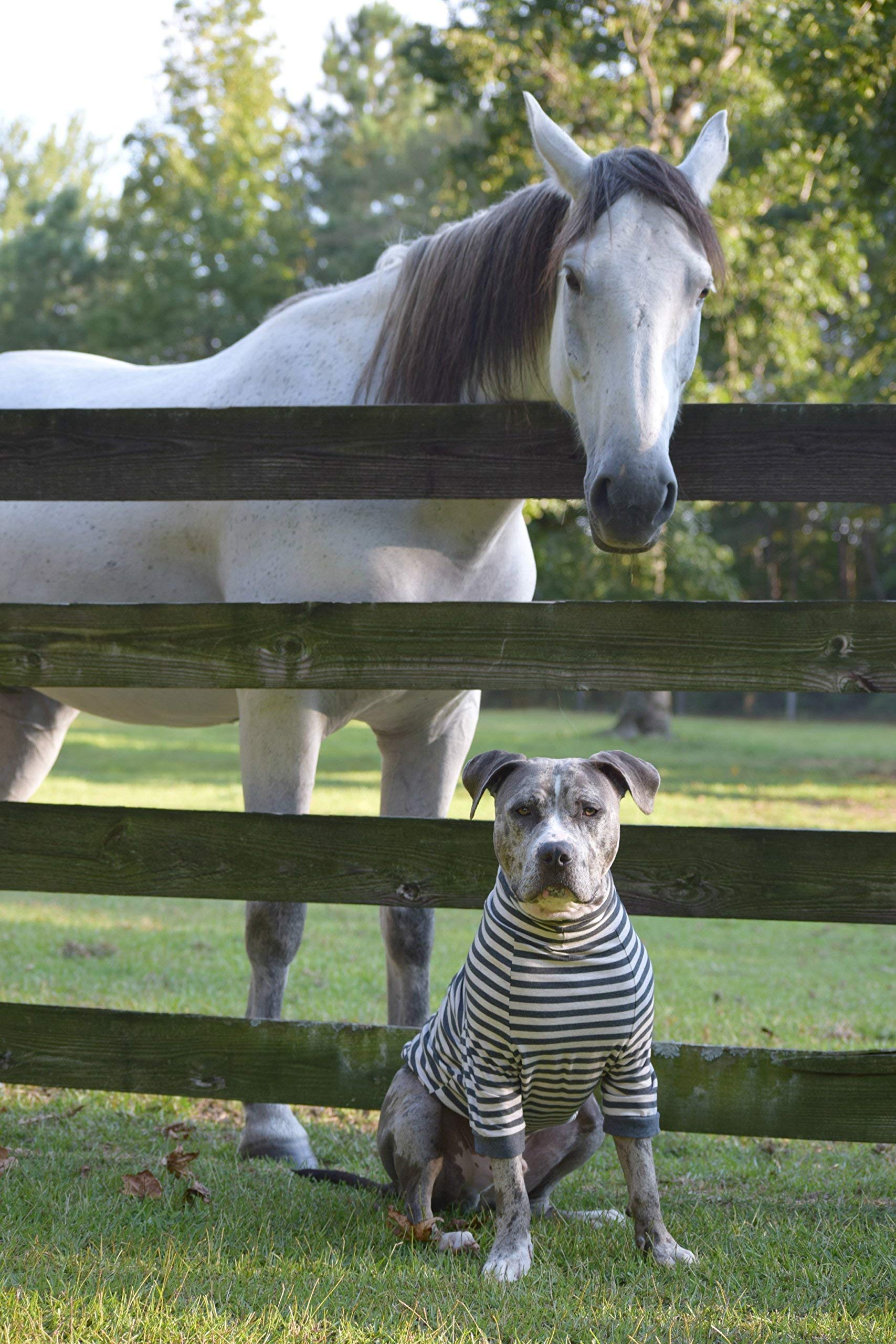 Tooth & Honey mid-length sleeves promote freedom of movement.