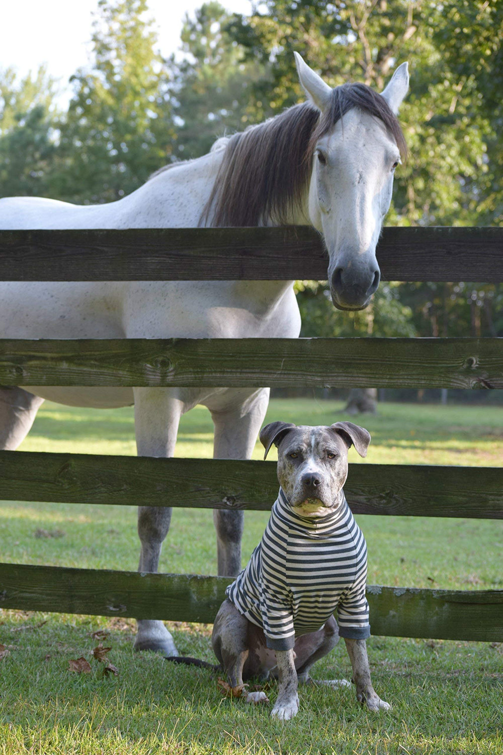 Tooth & Honey mid-length sleeves promote freedom of movement.