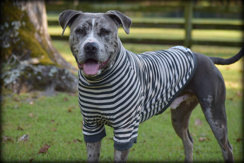 Tooth & Honey lightweight summer shirt enables airflow on hot days.