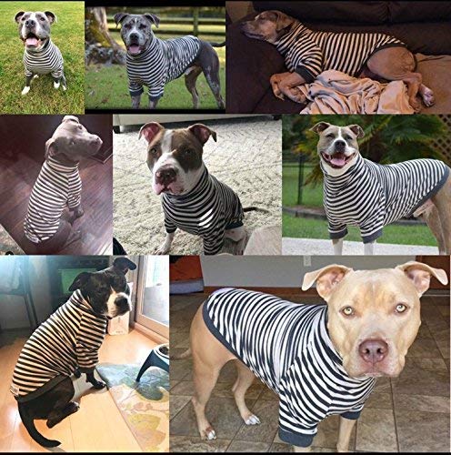 Tooth & Honey gray-white striped shirt combines style and practical coverage.
