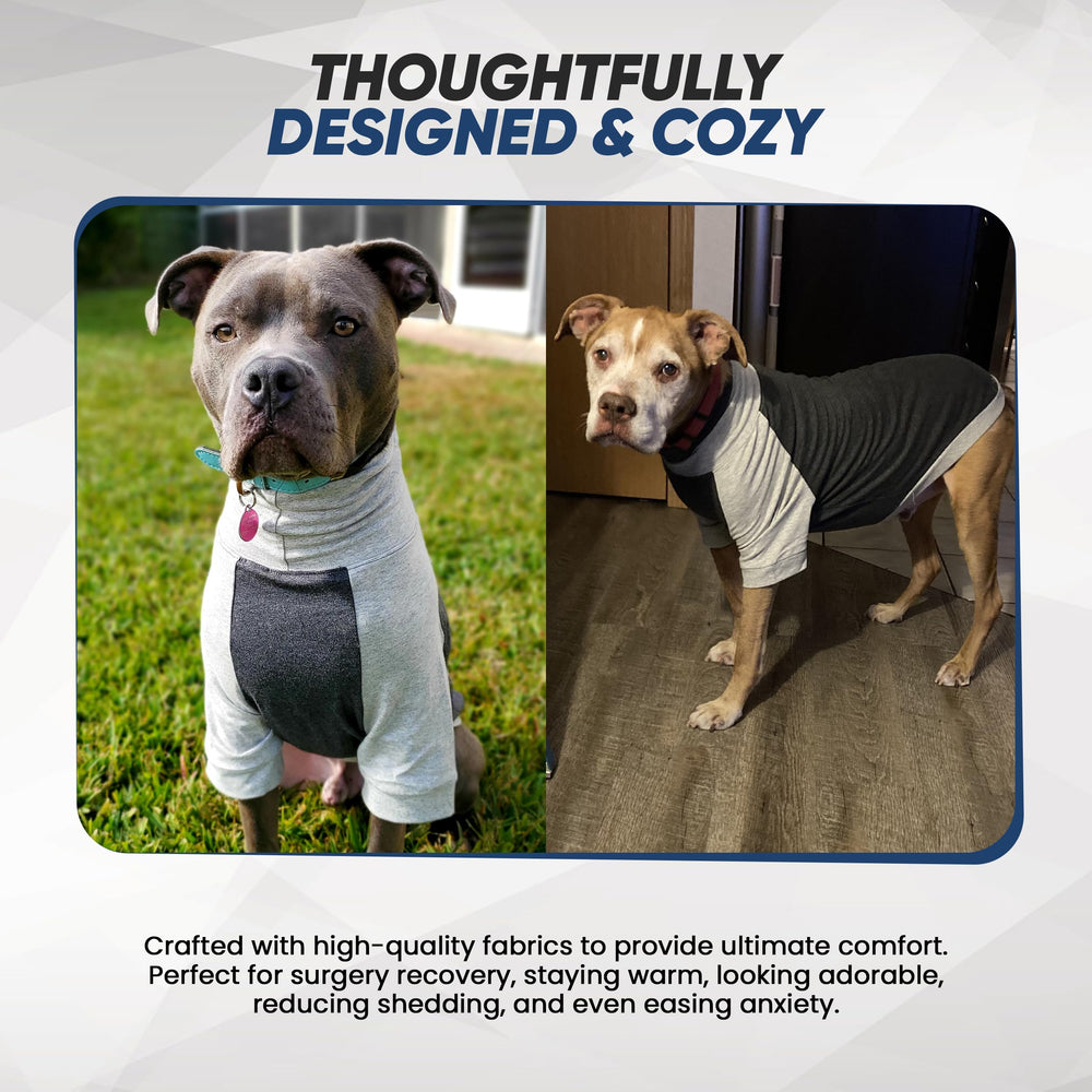 Tooth & Honey large dog pullover shirt allergy protection for outdoor walks.