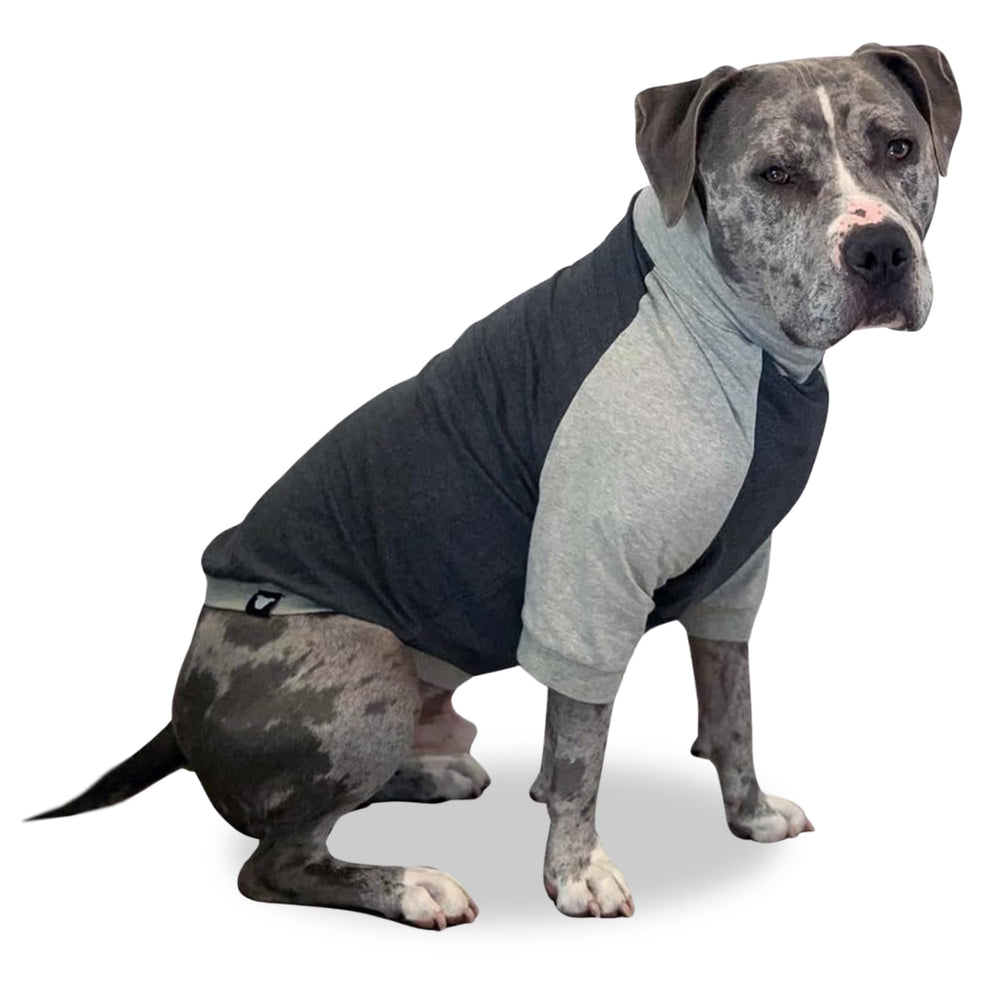 Tooth & Honey large dog pullover shirt dark light grey for breathable daily wear.