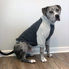Tooth & Honey large dog pullover shirt mid length sleeves allow movement.