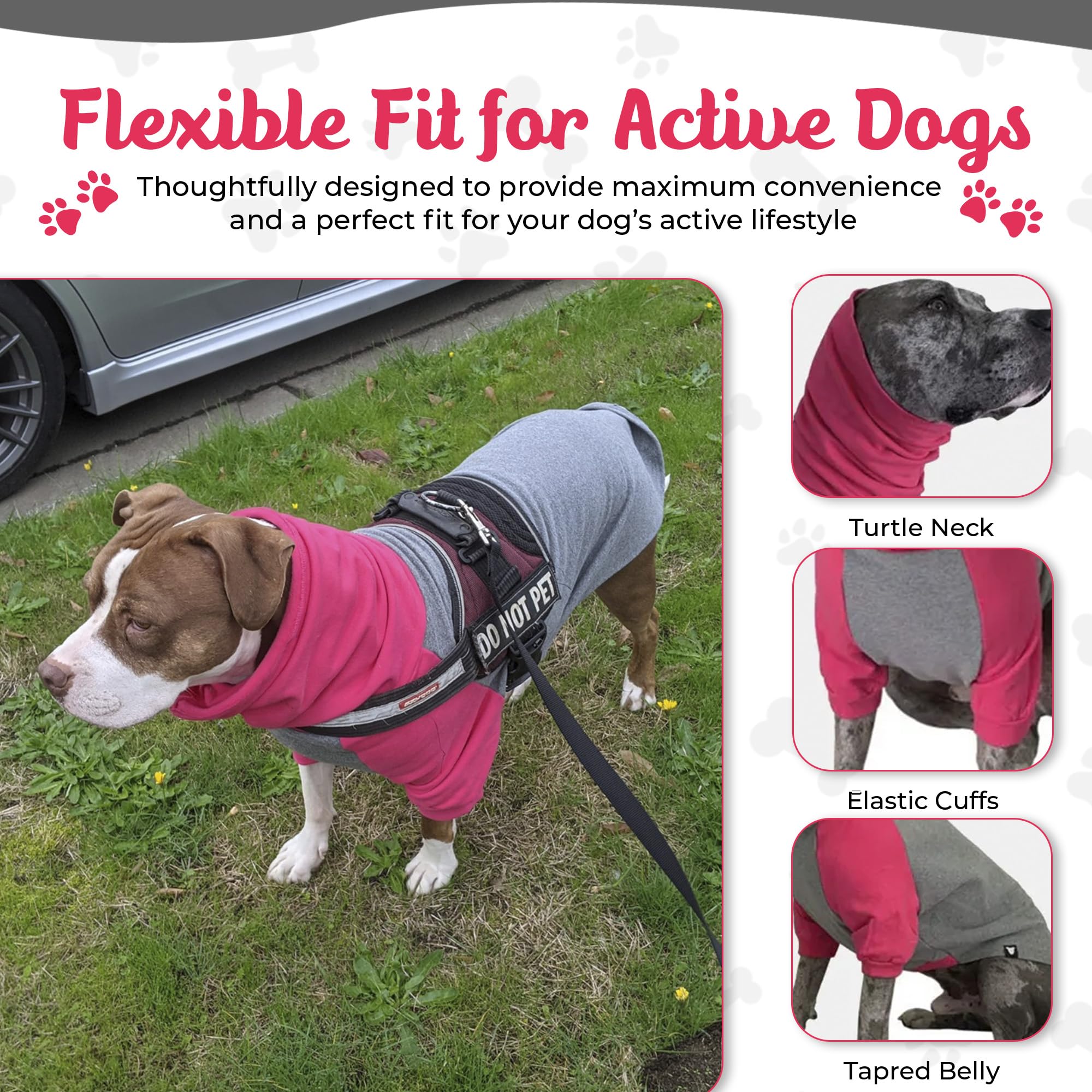 Tooth & Honey back view of hot pink XXL sweater on a pit bull