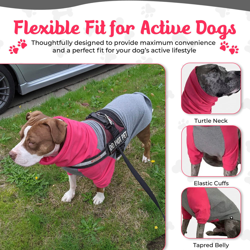 Tooth & Honey back view of hot pink XXL sweater on a pit bull