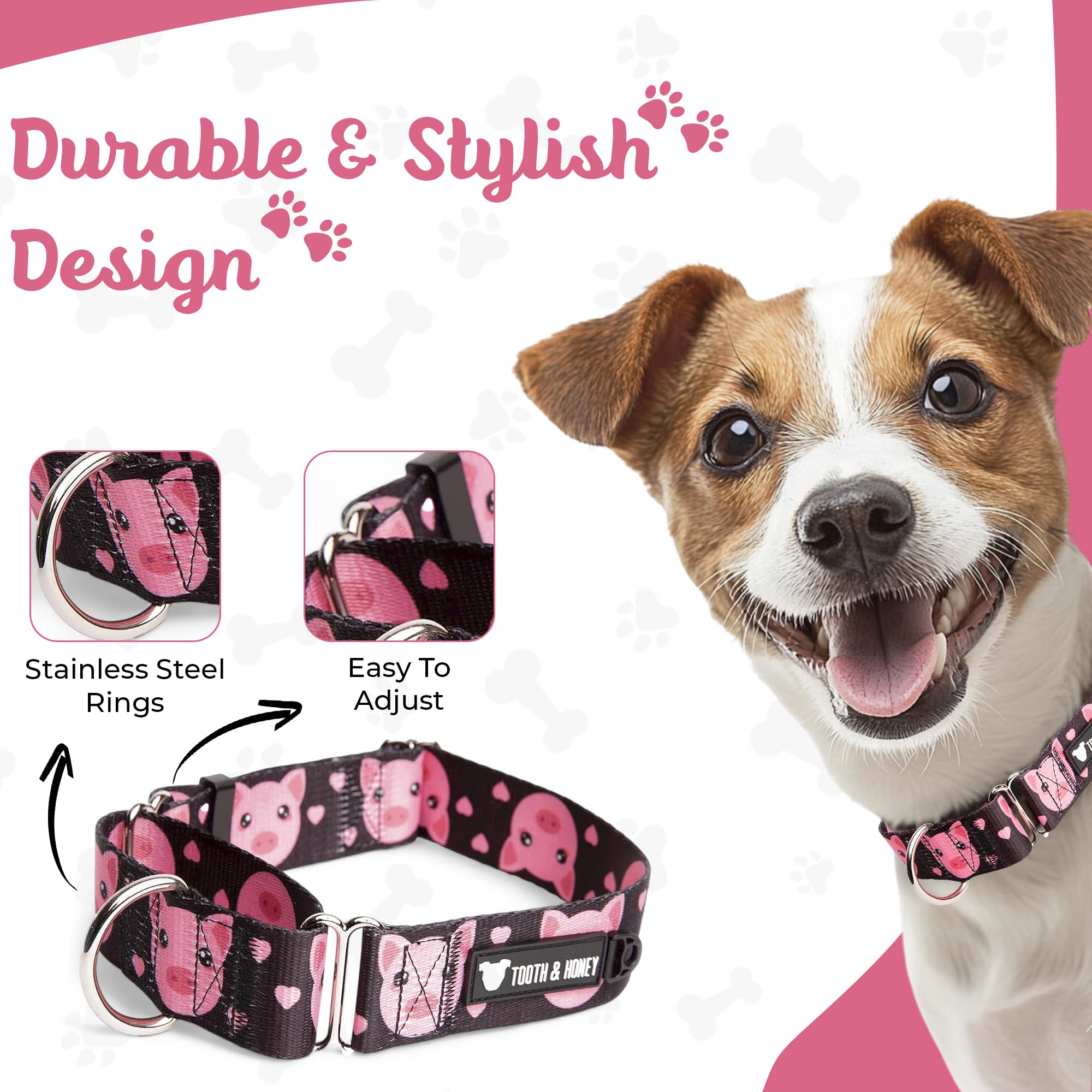 Tooth & Honey martingale collar closeup shows durable hardware