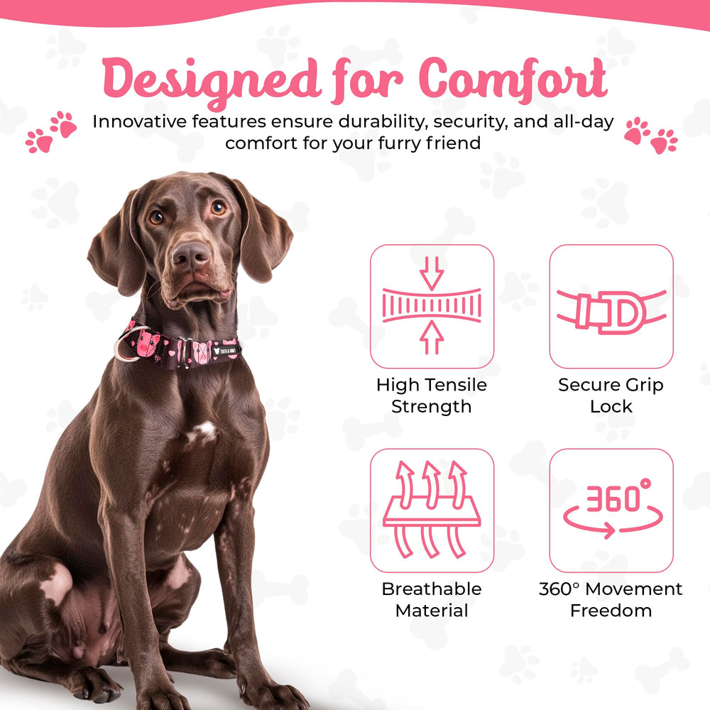 Tooth & Honey Pitbull collar 1.5-inch wide for comfortable grip
