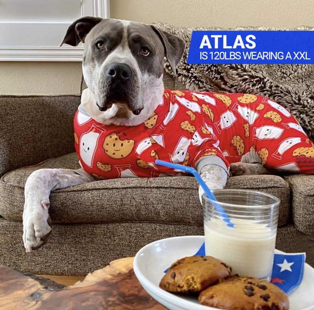 Tooth & Honey Pitbull Pajamas elastic waistband closeup for easy dressing.
