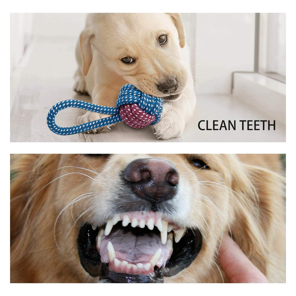 Toozey-dental-health-benefit-toy-closeup may support gums through gentle chewing.