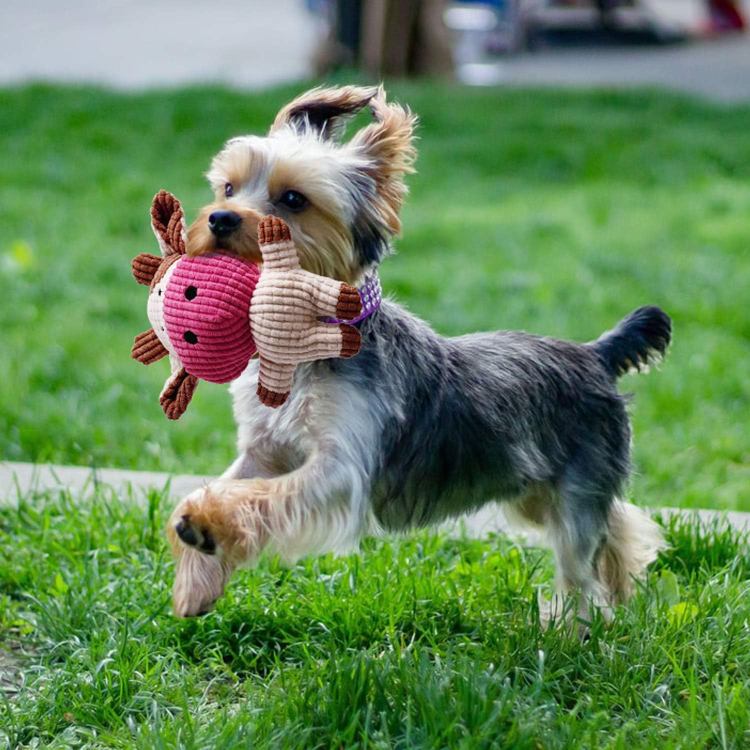 Toozey-washable-puppy-toys-closeup makes cleanup quick after messy play.