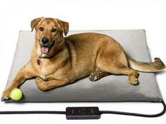 Toozey XL pet heating pad on a bed showing large surface for cozy warmth