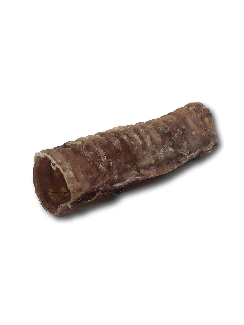 Top Dog Chews 6-inch beef trachea dogchewing shows focused chewing and joint-supporting enjoyment.