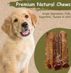 Top Dog Chews 6-inch beef trachea texture closeup shows natural chew surface for dental cleaning.