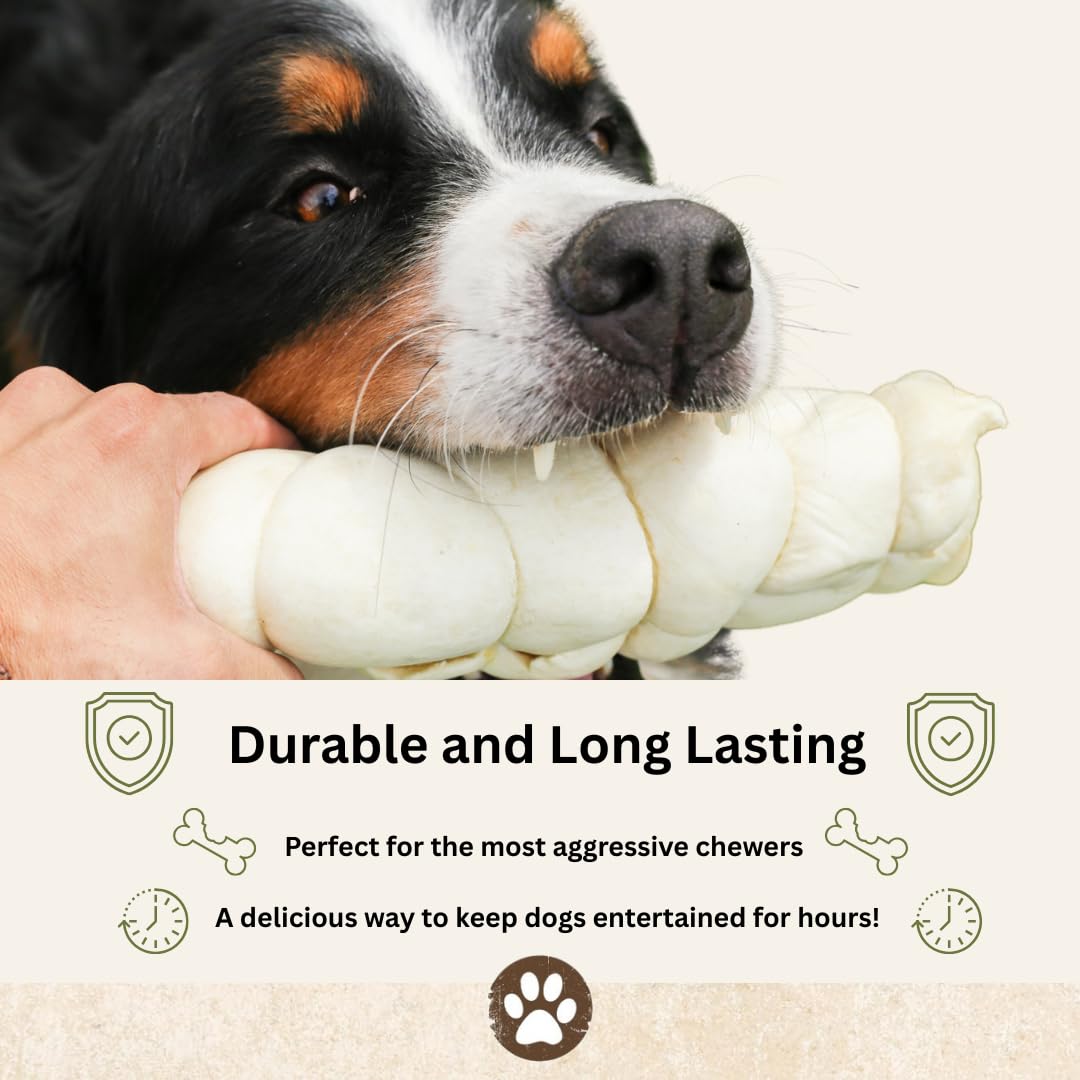 Top Dog Chews beef cheek rolls dental benefits—helps clean gums during chewing.