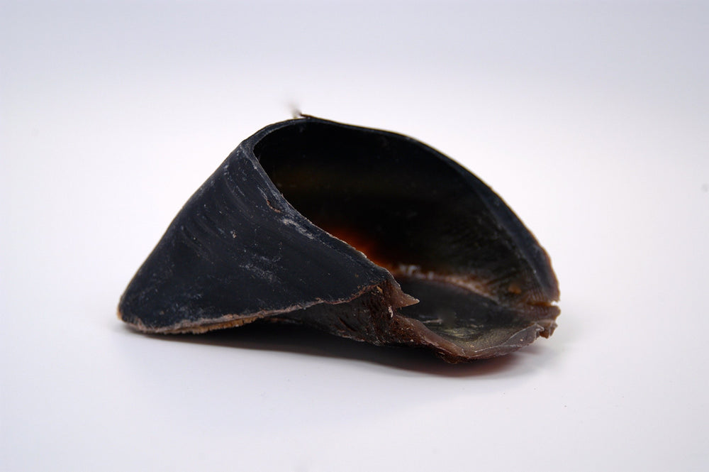 Top Dog Chews serving image, cow hooves as a rawhide alternative.