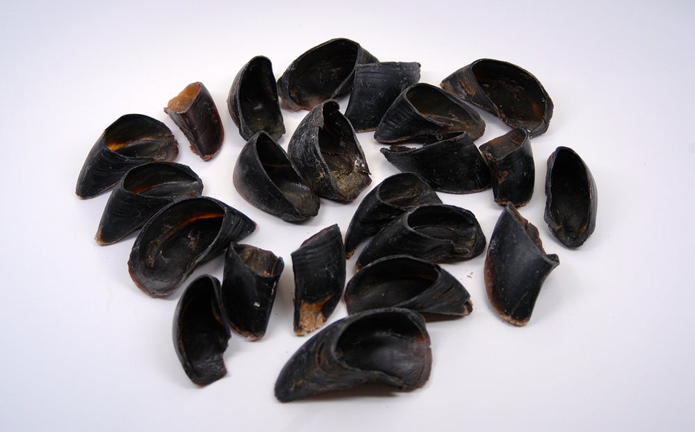 Top Dog Chews cow hooves, made in the USA with strict quality standards.