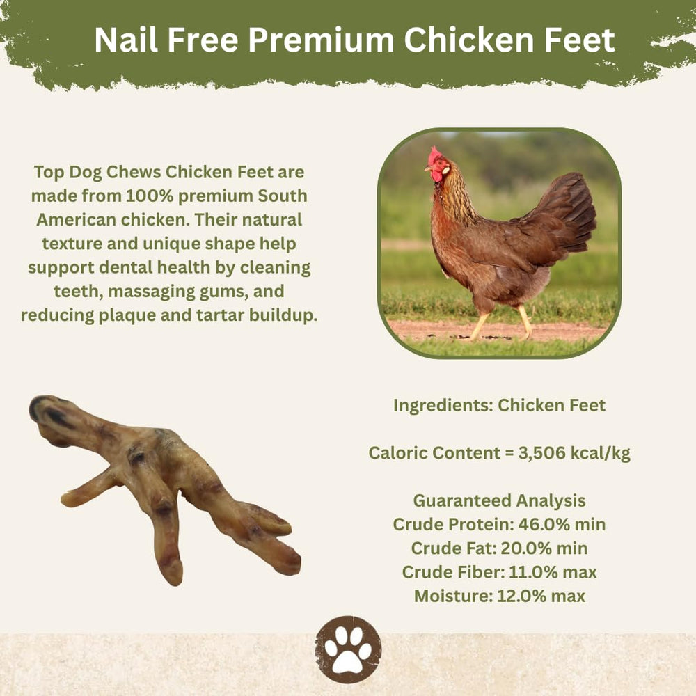 Top Dog Chews Dehydrated Chicken Feet dog-eating action showcases protein-rich treat