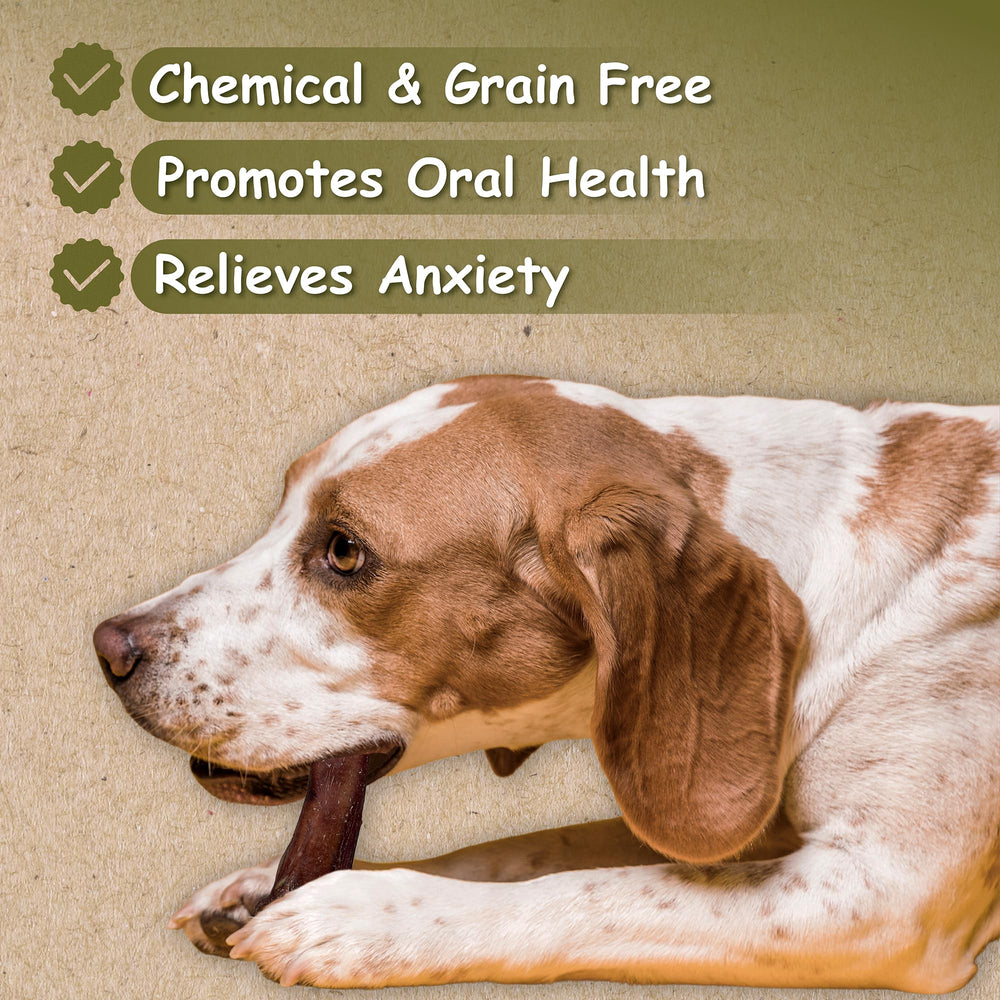 Top Dog Chews free-range beef bully stick for dogs, protein-rich.