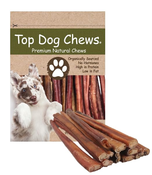 Top Dog Chews thick 12-inch bully stick for long-lasting chewing.