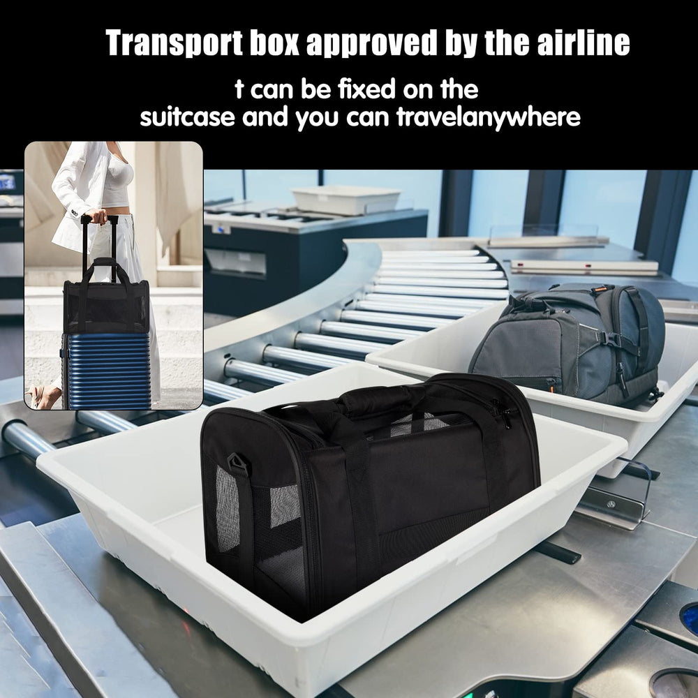 Top tasta cat carrier with adjustable strap for comfortable carrying.