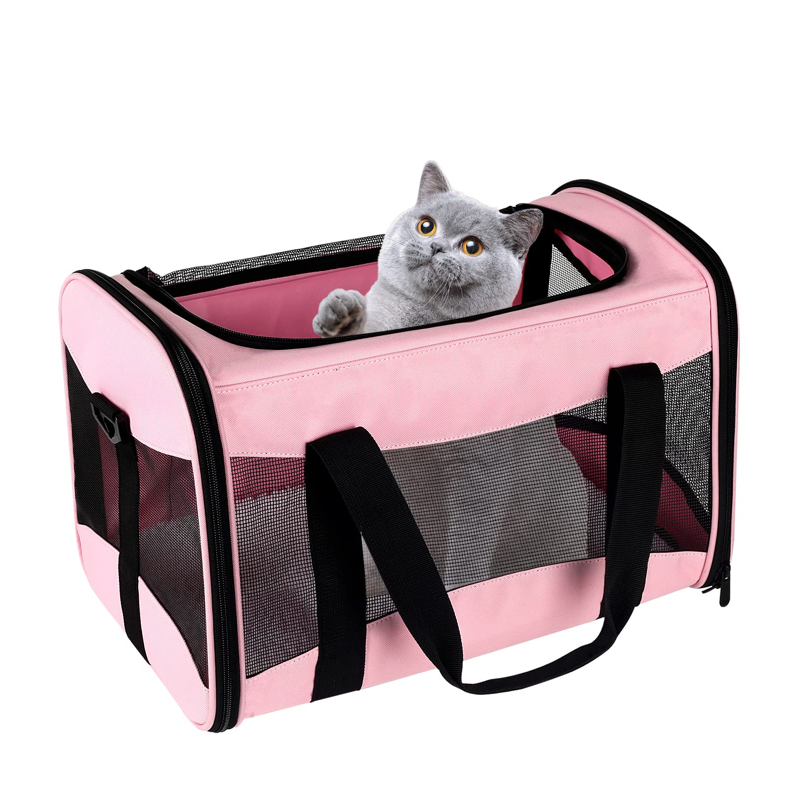 Top Tasta cat carrier airline-approved under-seat travel convenience.
