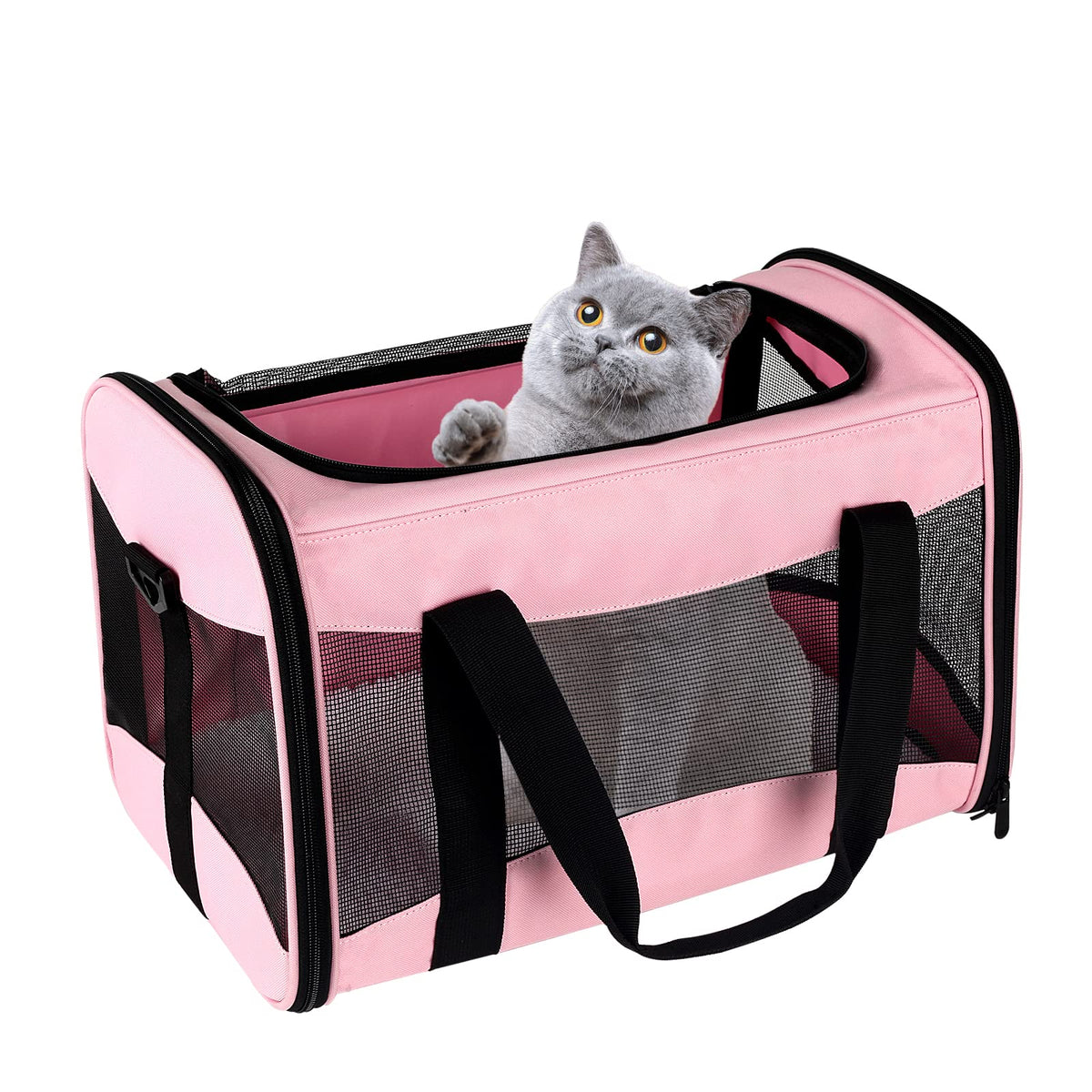 Top Tasta cat carrier airline-approved under-seat travel convenience.