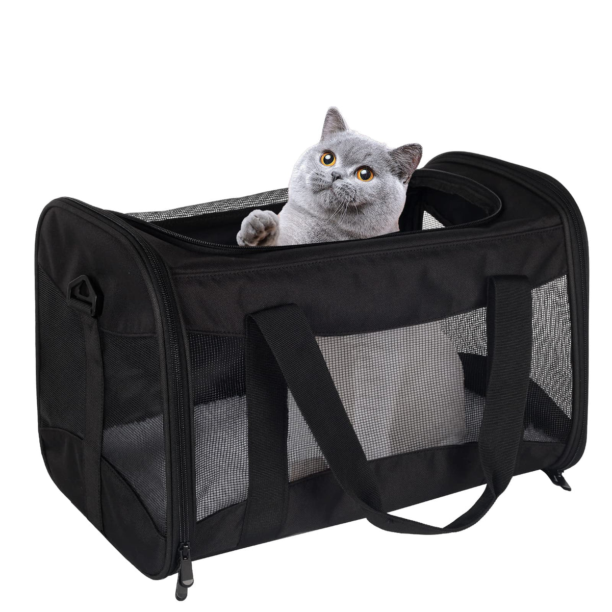 Top tasta cat carrier under-seat view showing airline-friendly size for travel.