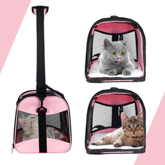 Top Tasta cat carrier with detachable wool bed for cozy travel.