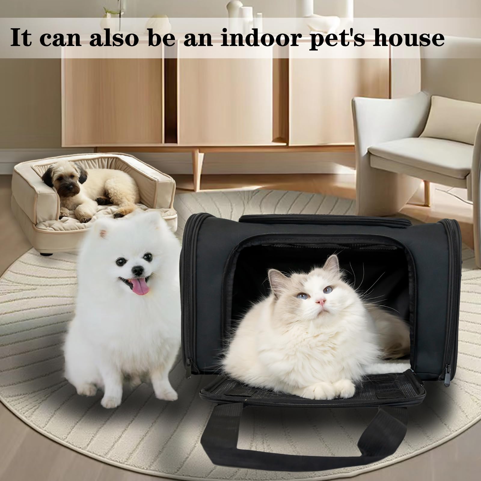 Top tasta dog cat carrier airline-friendly design for travel.
