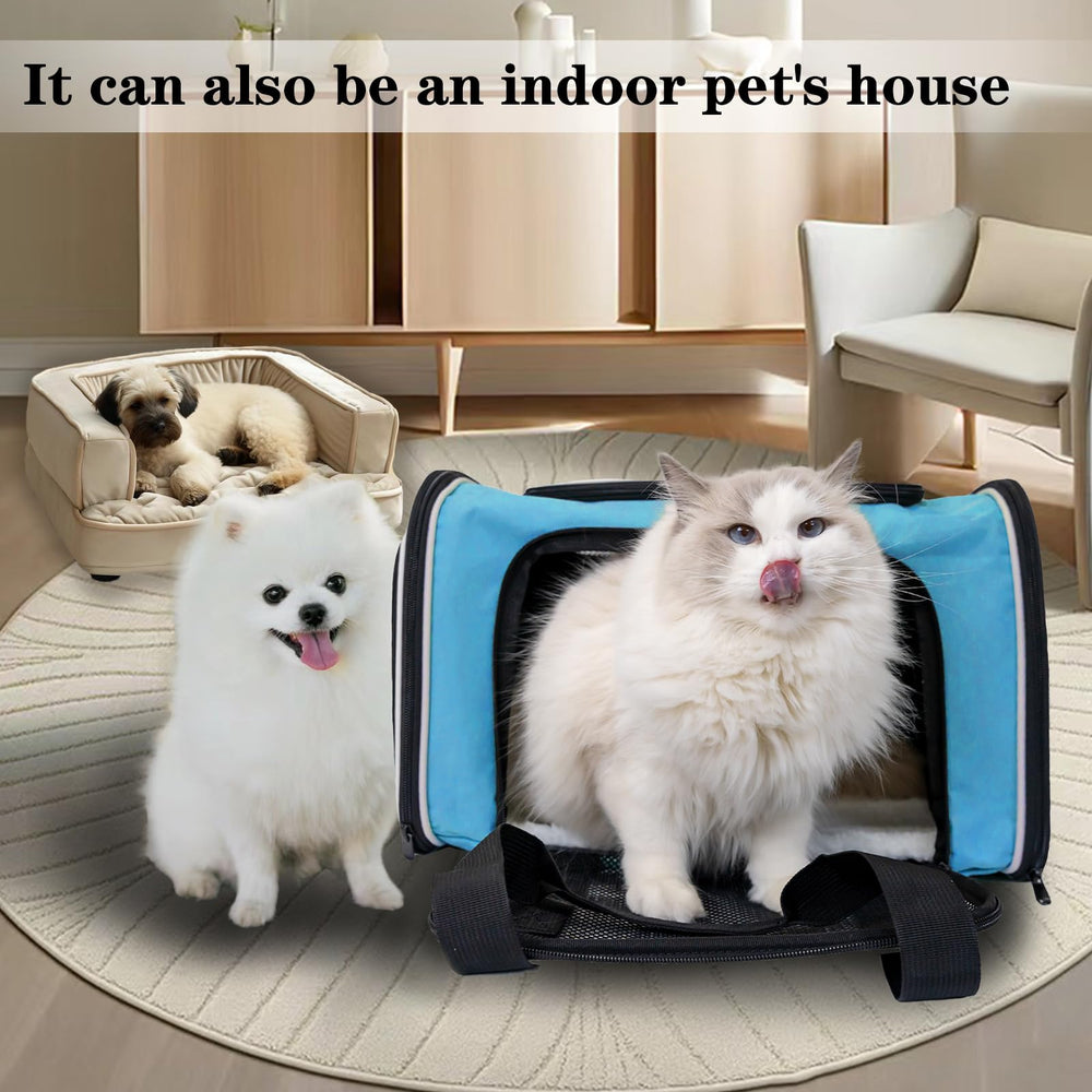 Top tasta dog cat carrier blue large size guide—helps choosing the right fit.