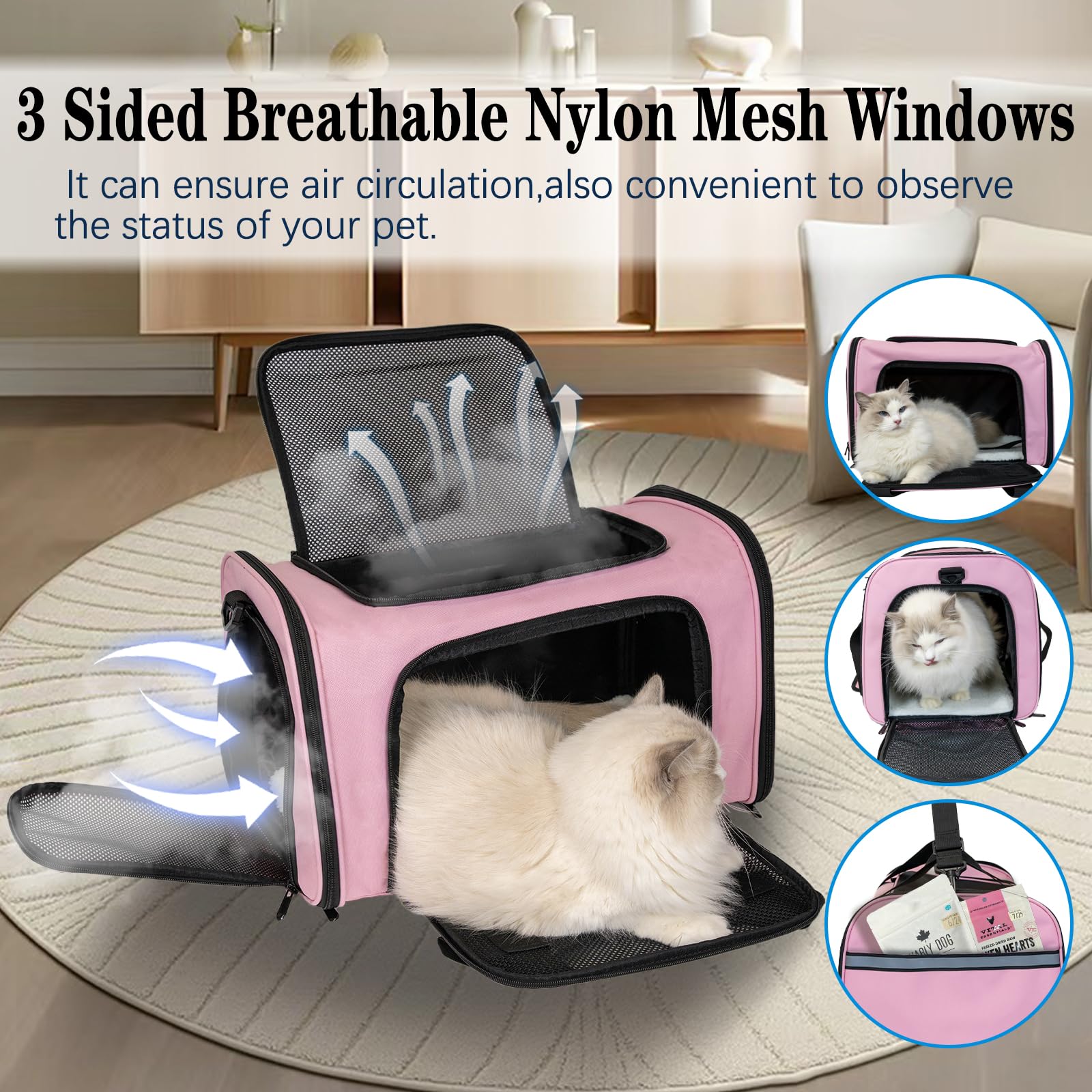 Top tasta foldable travel carrier ideal for vet visits and trips