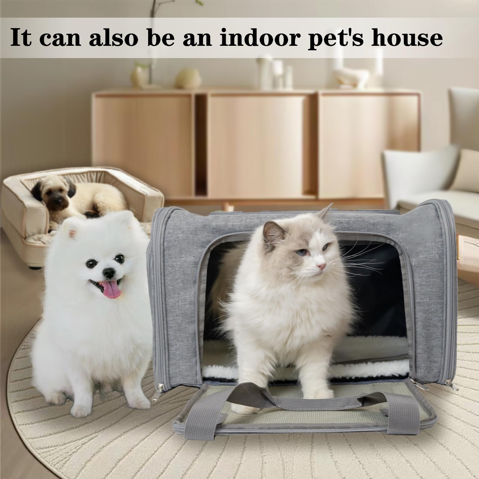 Top tasta ice pad option keeps pet cooler in hot climates