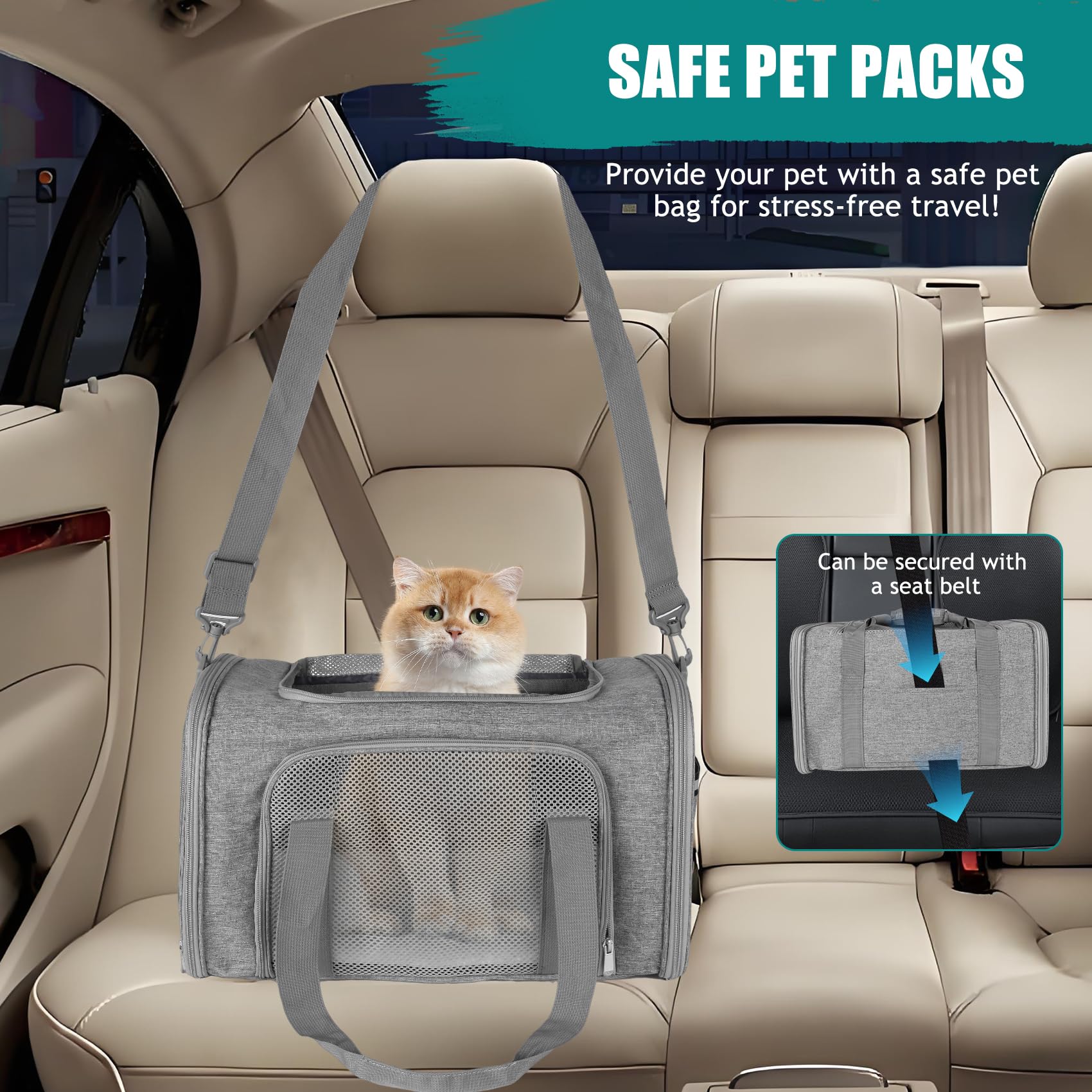 Top tasta carrier includes removable plush mat for cozy trips