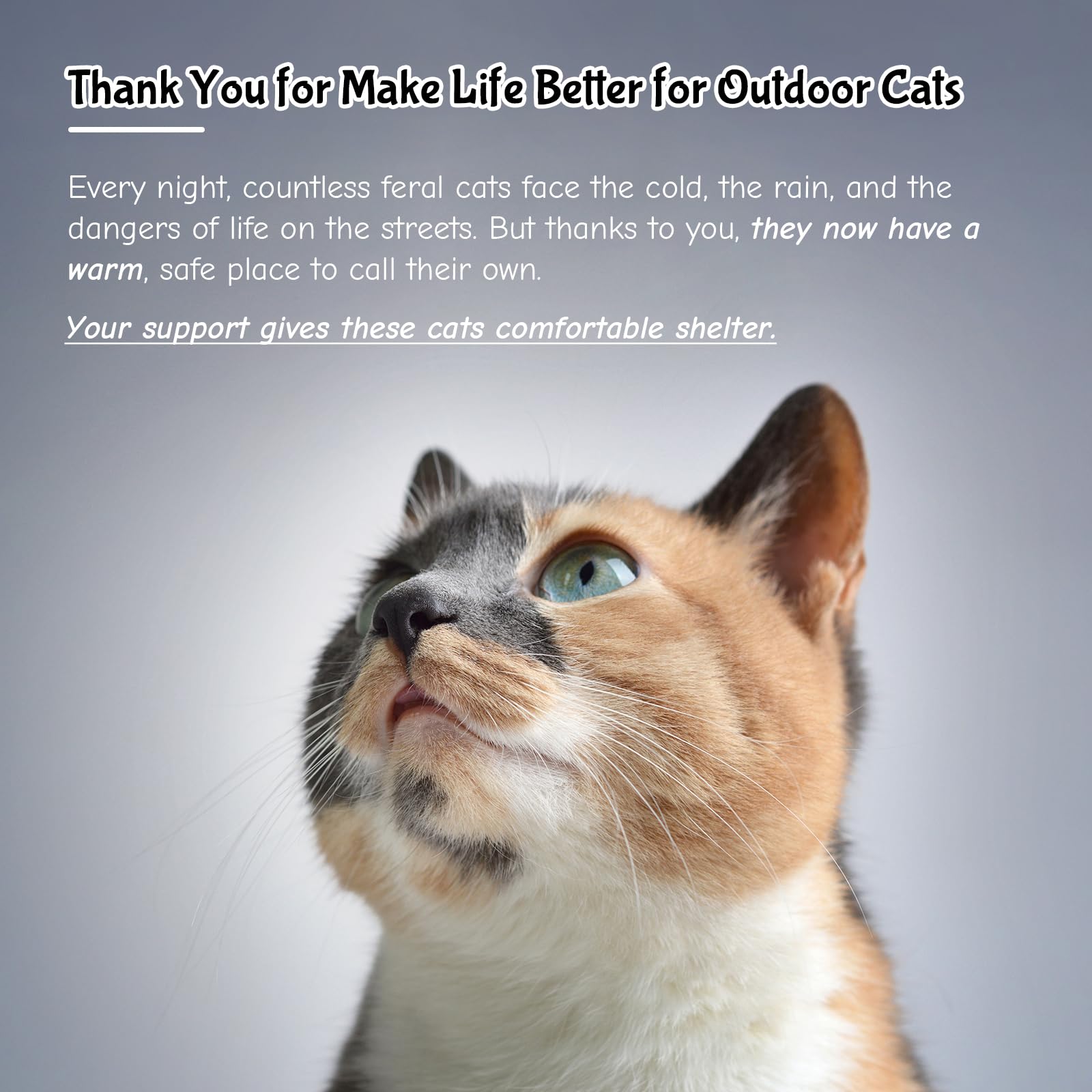 Topetory outdoor cat house all-season use in outdoor settings.