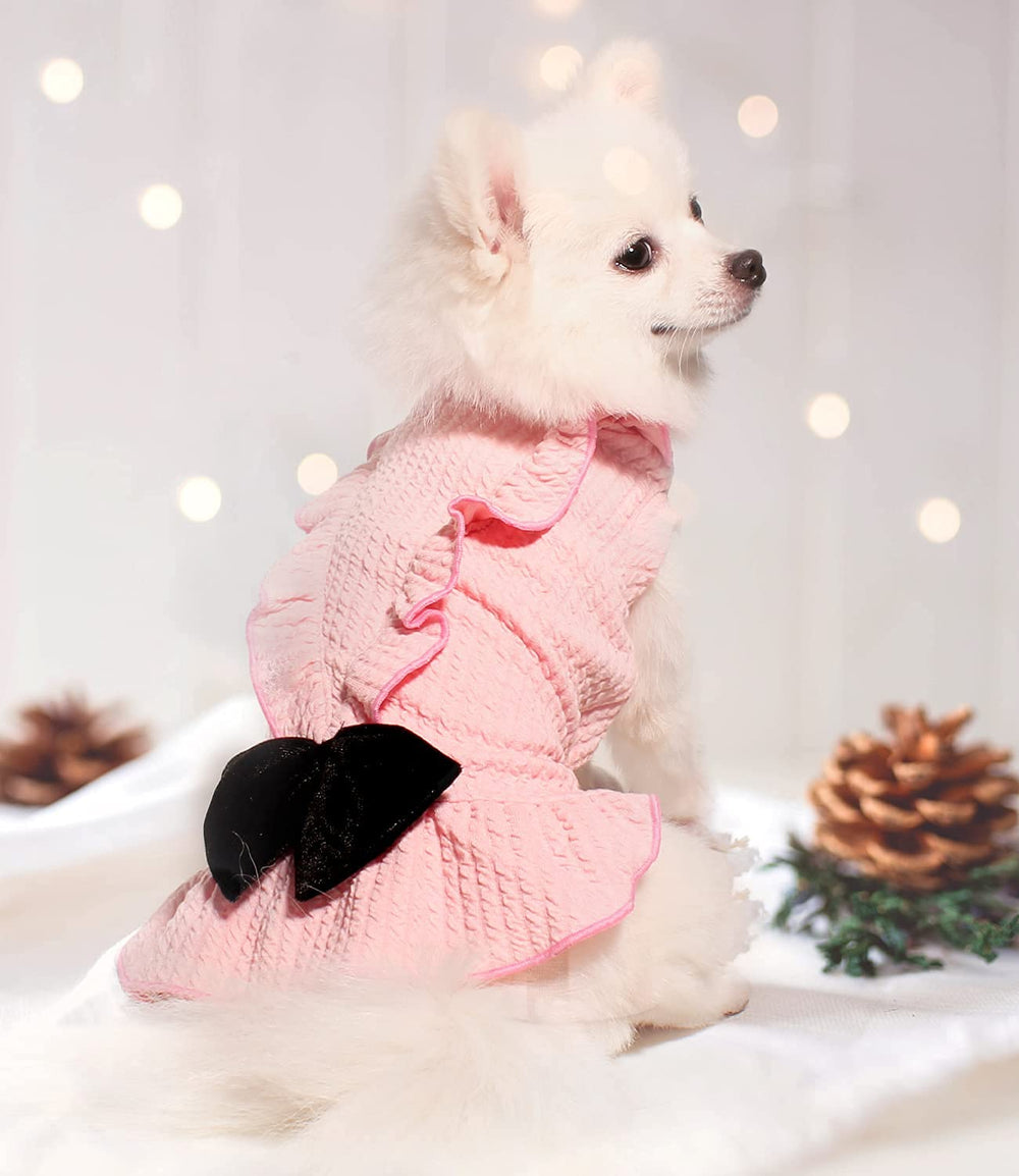 Topkins puppy skirt with velvet bowknot detail on pink fabric for easy movement.