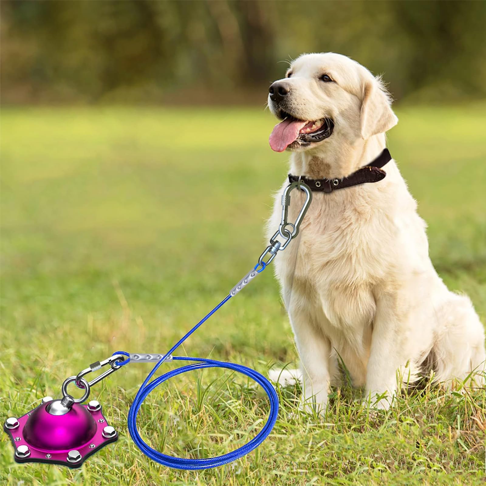 TopKnot outdoor camping dog tie-out ideal for camping trips.