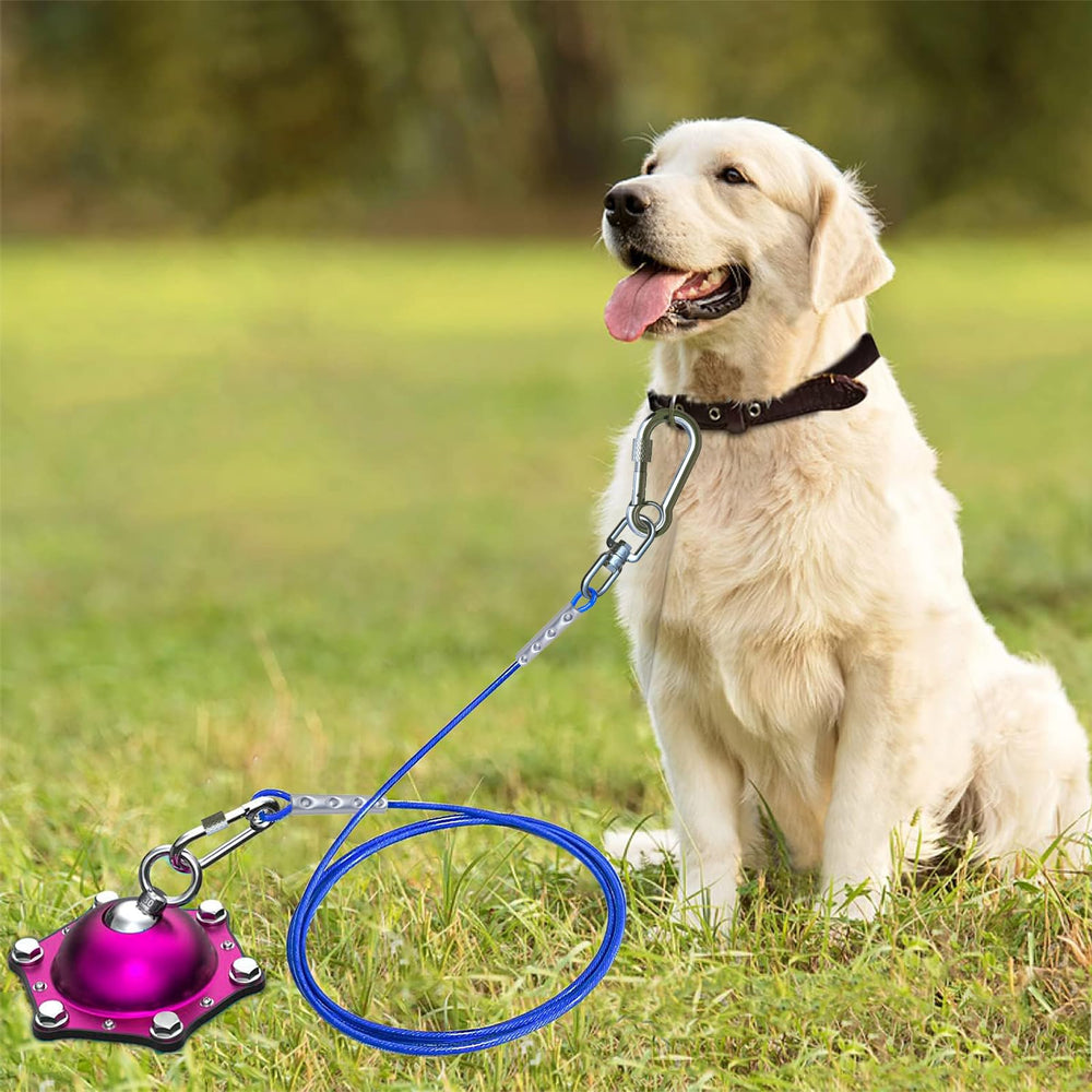 TopKnot outdoor camping dog tie-out ideal for camping trips.