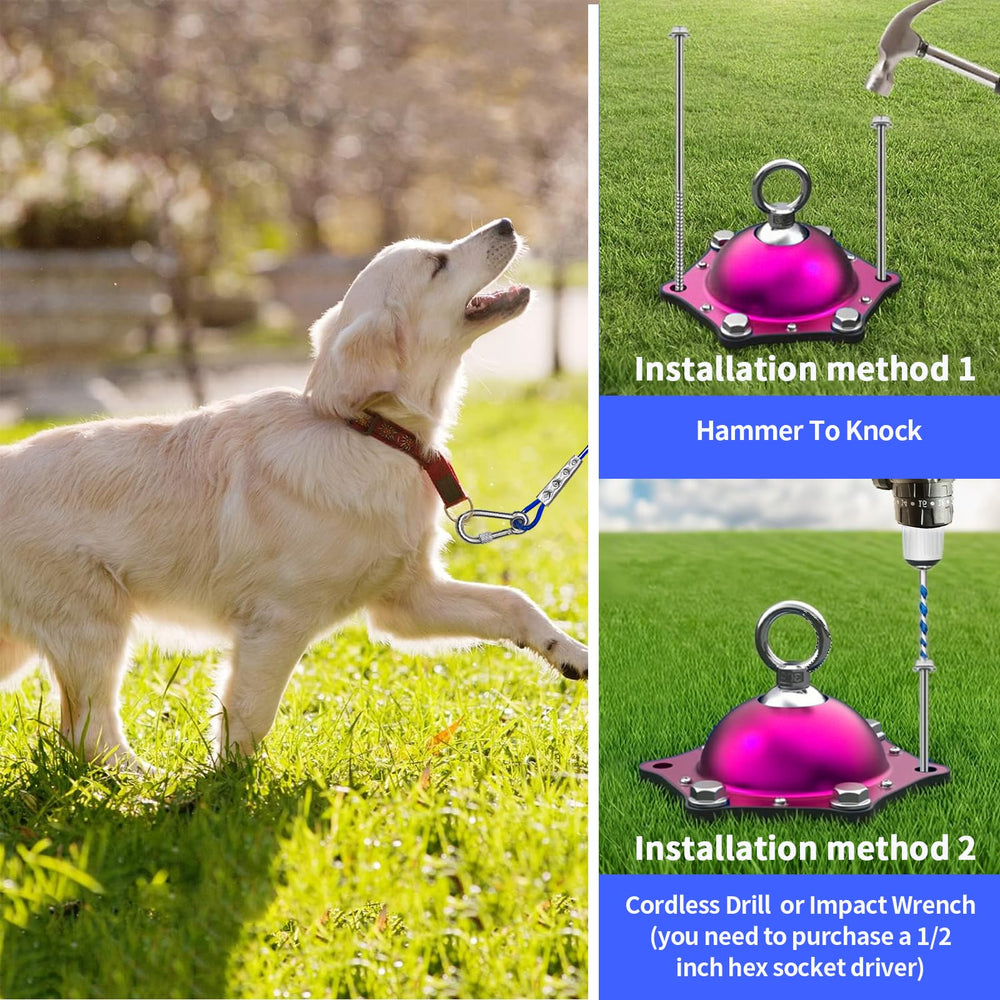 TopKnot screw-lock carabiners help prevent pet escapes.