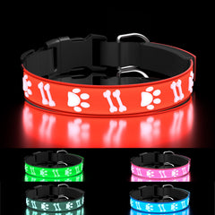 TOPOTO light-up dog collar red front view shows bright visibility for night walks