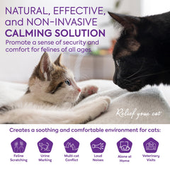 TopSum calming diffuser head insert showing easy replacement for consistency.