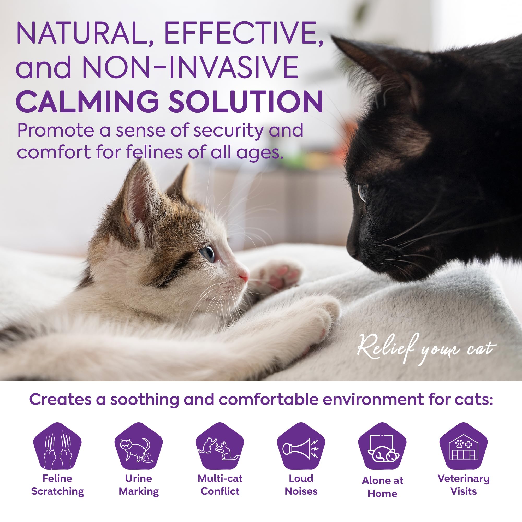 TopSum cat pheromones diffuser beside a curious cat suggesting reduced restlessness