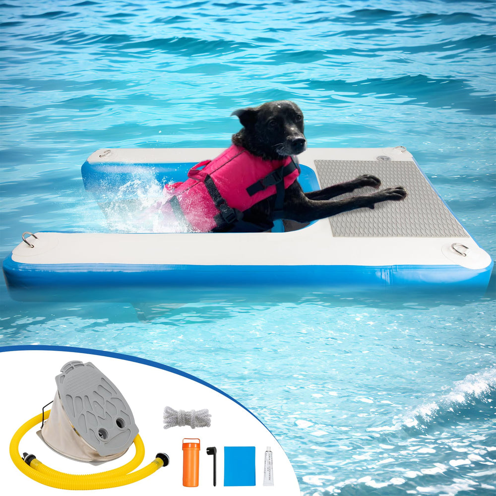 Toriexon dog water ramp used in everyday family water play.