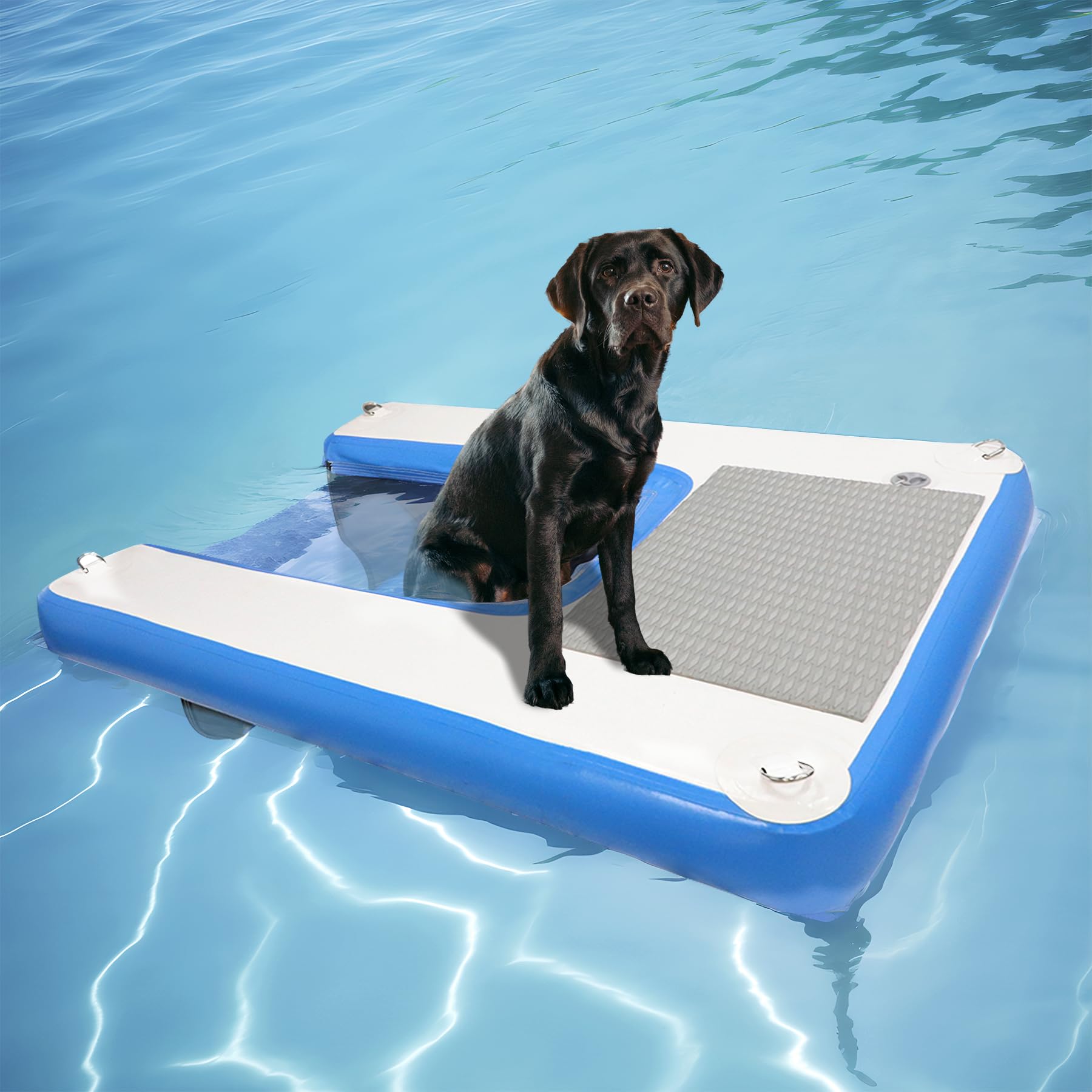 Toriexon inflatable dog water ramp with blue surface for easy water entry.