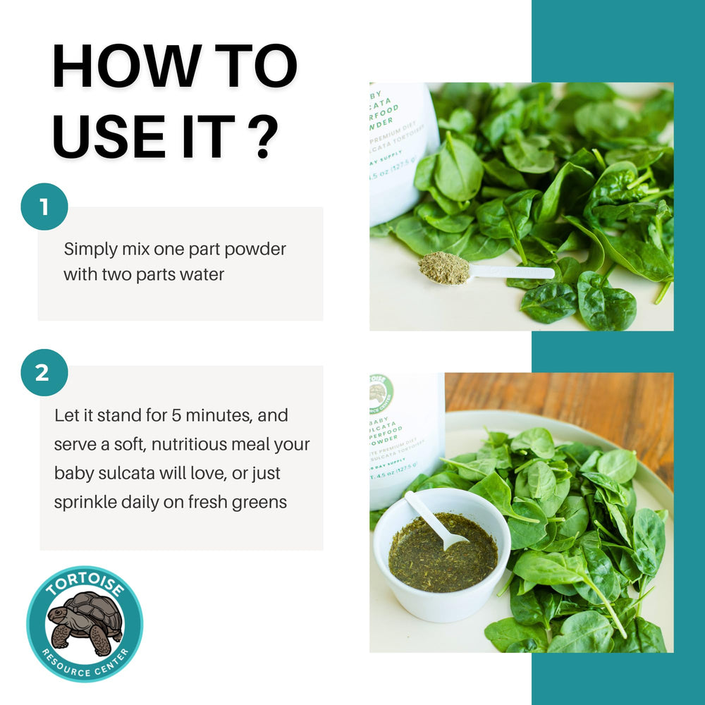 Tortoise Resource Center ingredientes orgánicos y formulación de alta calidad