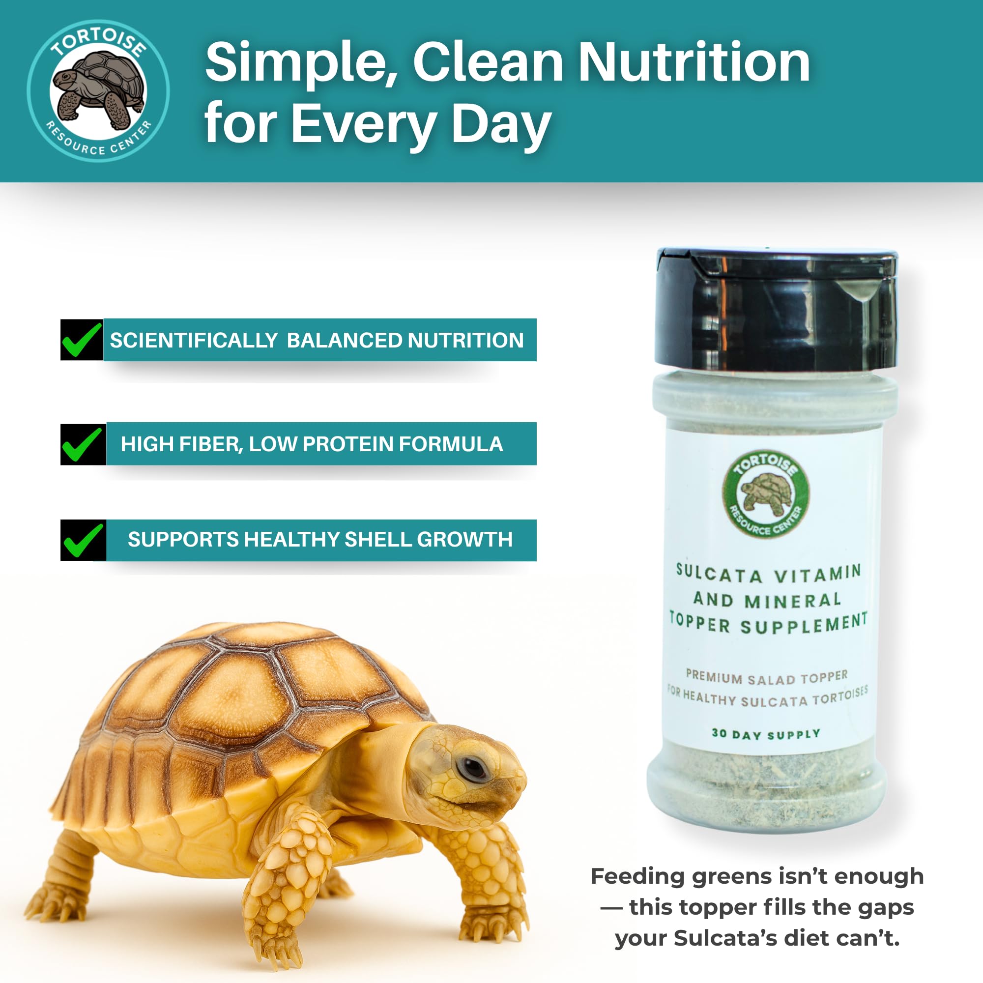 Tortoise Resource Center bonus care pack with guides and webinar.