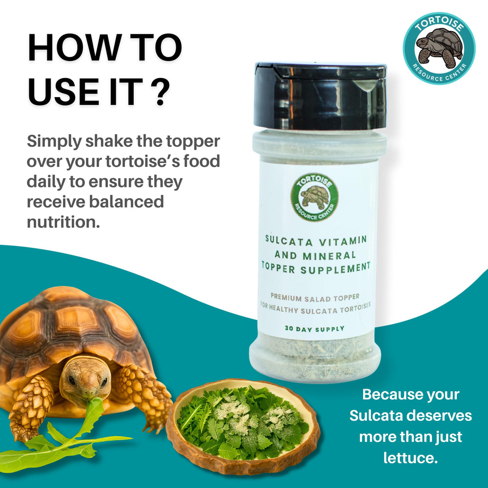 Tortoise Resource Center shaker-front view highlighting convenient 30-day supply.